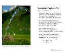poster_sonnet-xv-2