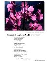 poster_sonnet-xviii-1