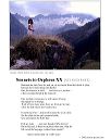 poster_sonnet-xx-2