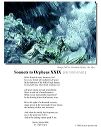 poster_sonnet-xxix-2