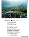 poster_sonnet_v-1