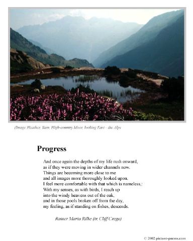 poster_moor-heather.jpg