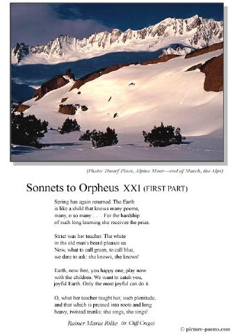 poster_orpheusxxi-1.jpg