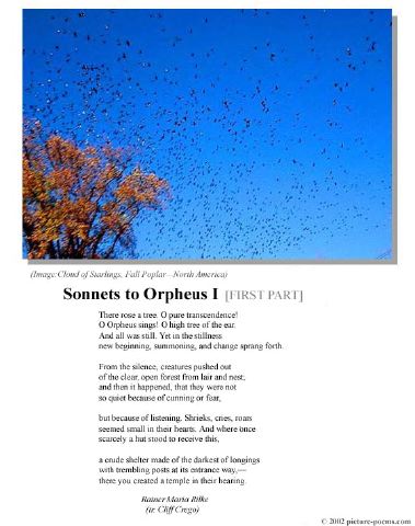 poster_sonnet-i-1.jpg