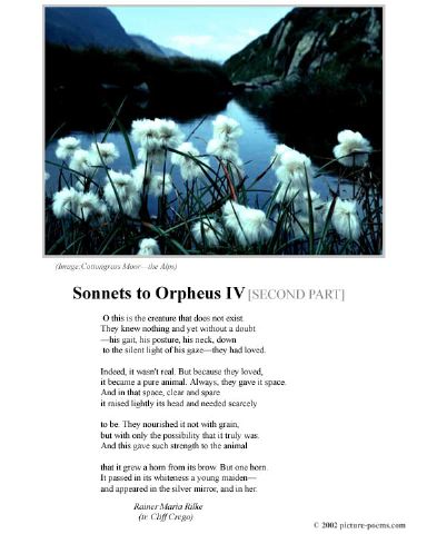 poster_sonnet-iv-2.jpg
