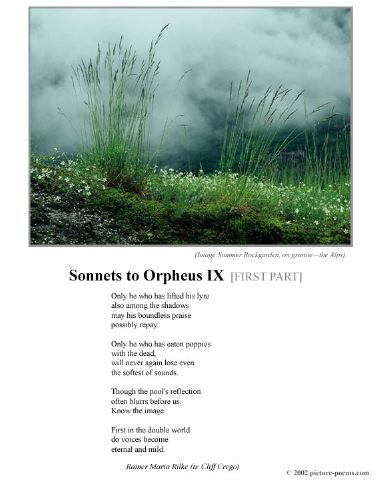 poster_sonnet-ix-1.jpg