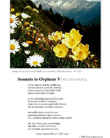 poster_sonnet-v-2.jpg