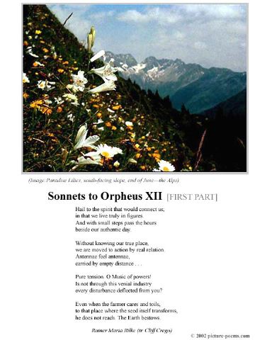 poster_sonnet-xii-1.jpg