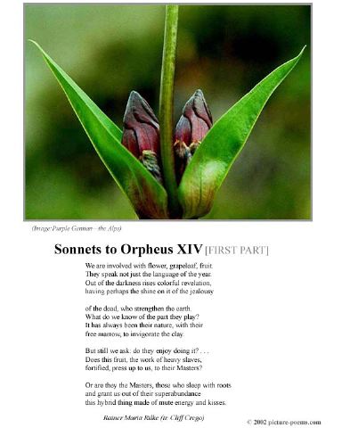 poster_sonnet-xiv-1.jpg