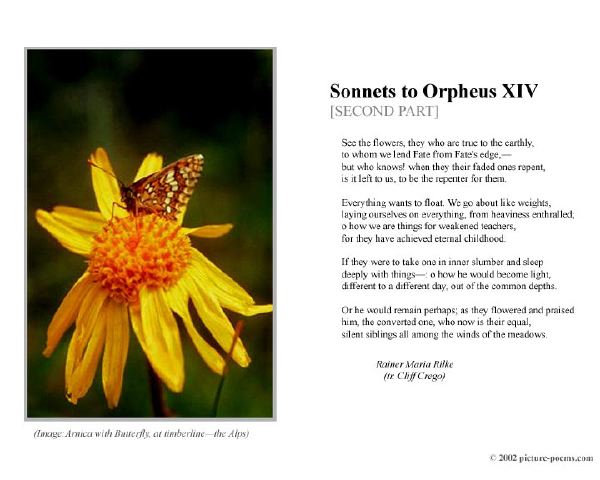 poster_sonnet-xiv-2.jpg