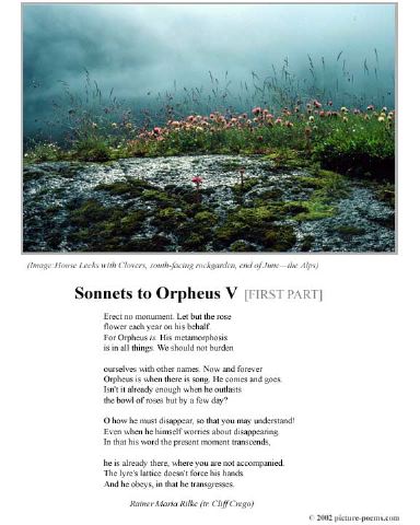 poster_sonnet_v-1.jpg