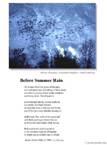 poster_summer-rain.jpg