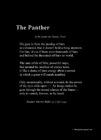 poster_the-panther.jpg