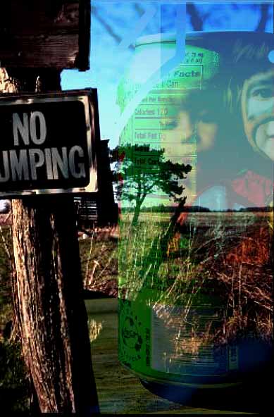 No Dumping!