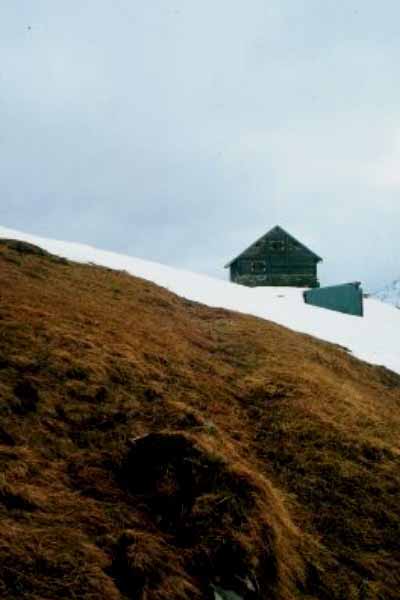 Wayside Hut